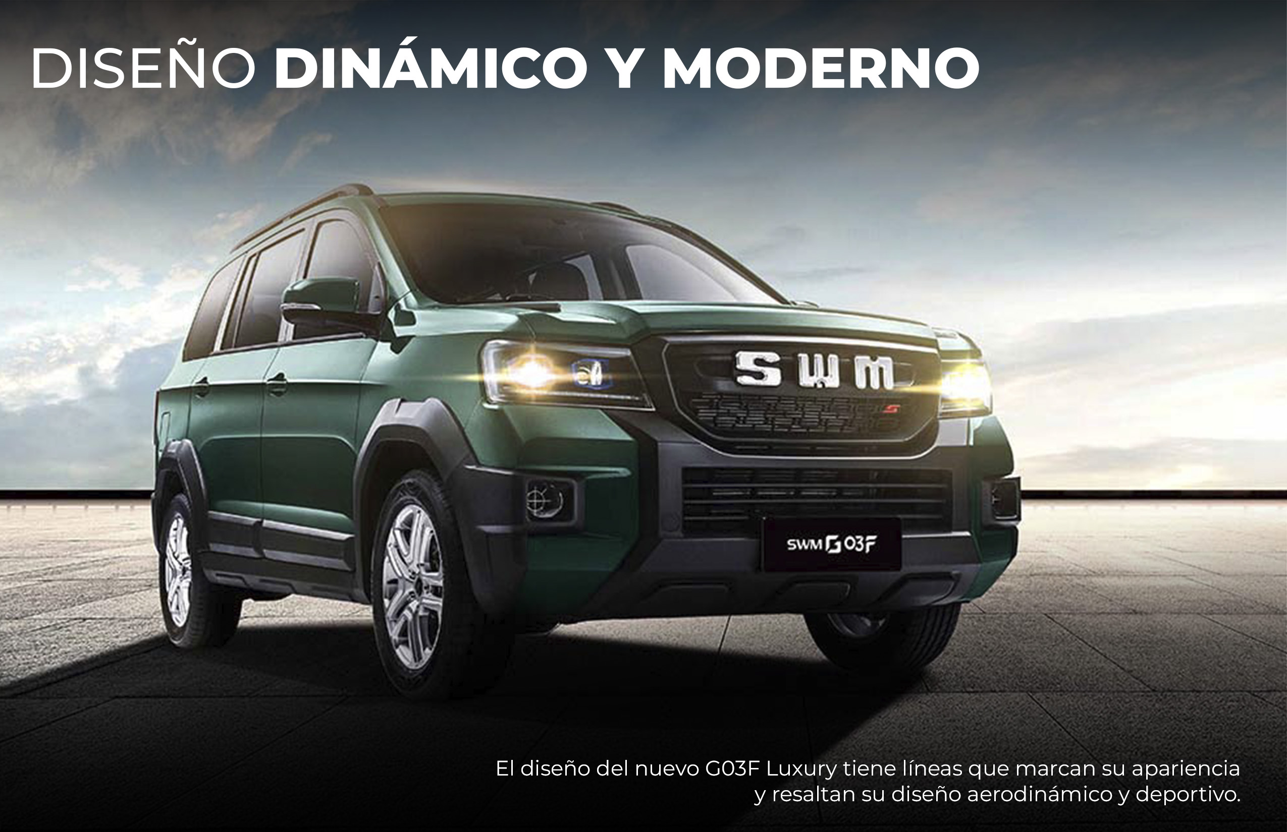 Detalle del vehículo