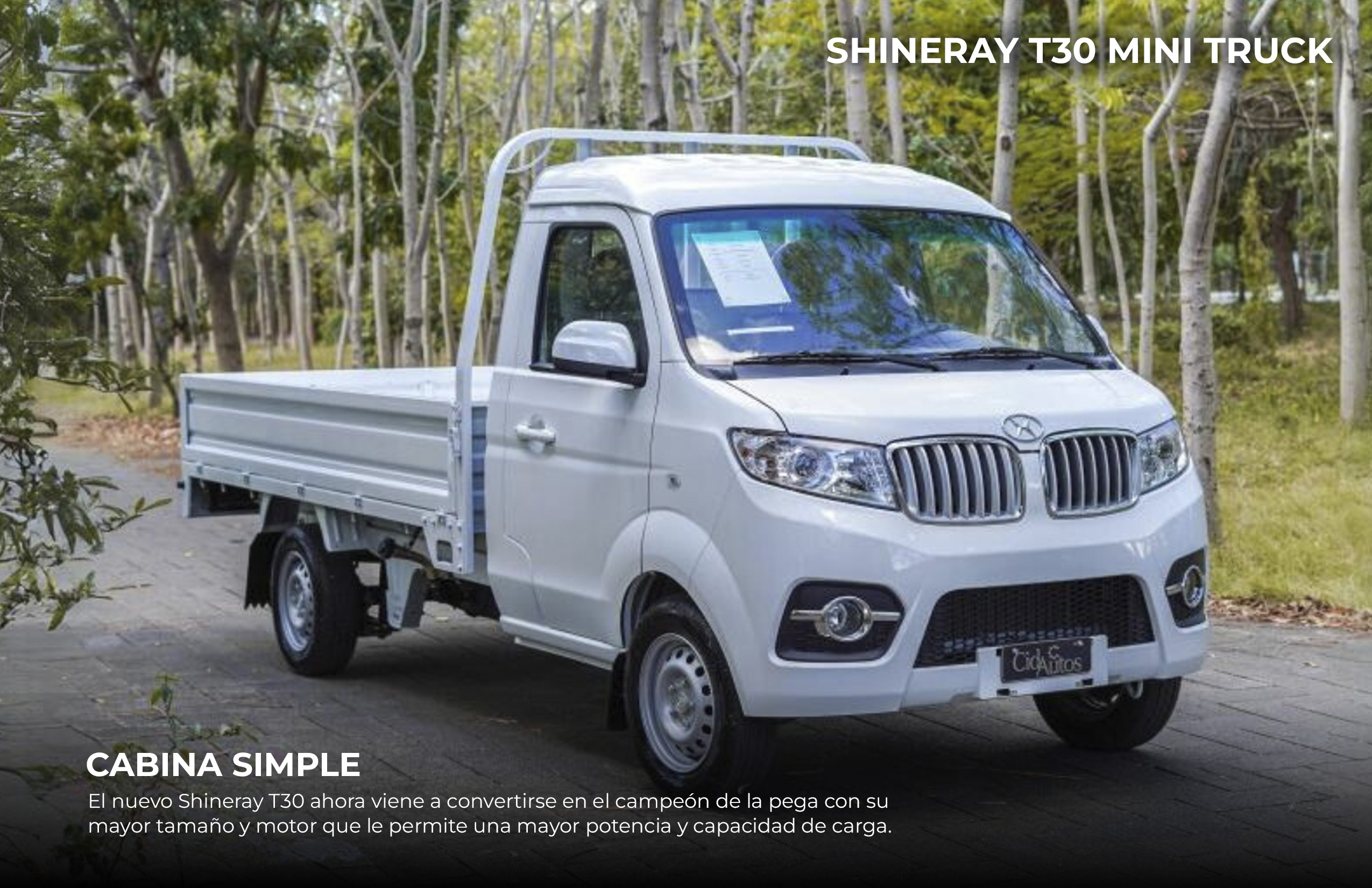 Detalle del vehículo