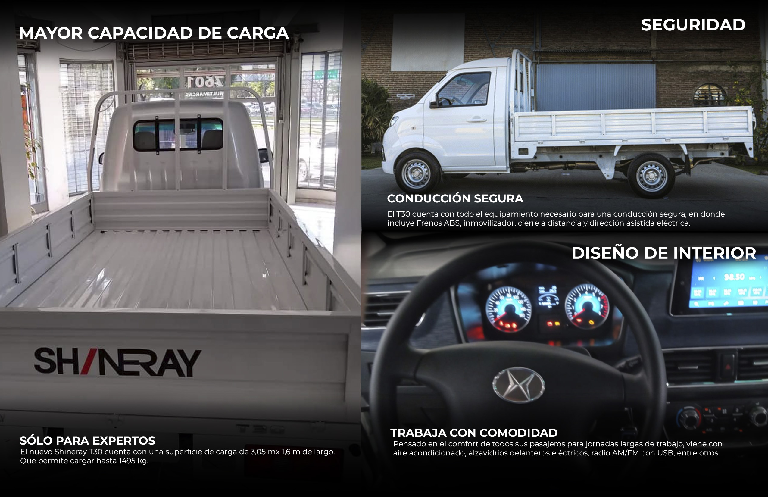 Detalle del vehículo