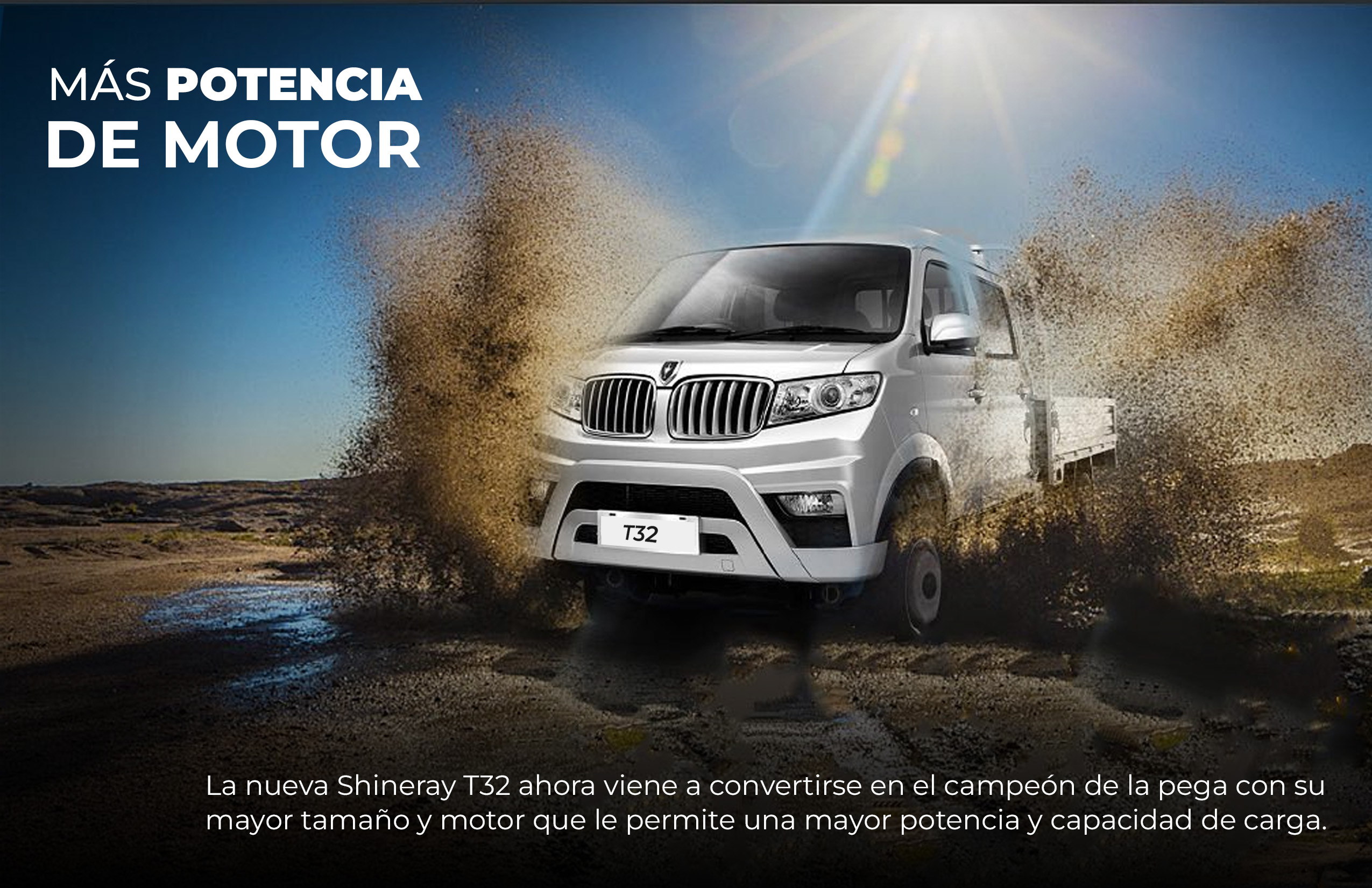 Detalle del vehículo