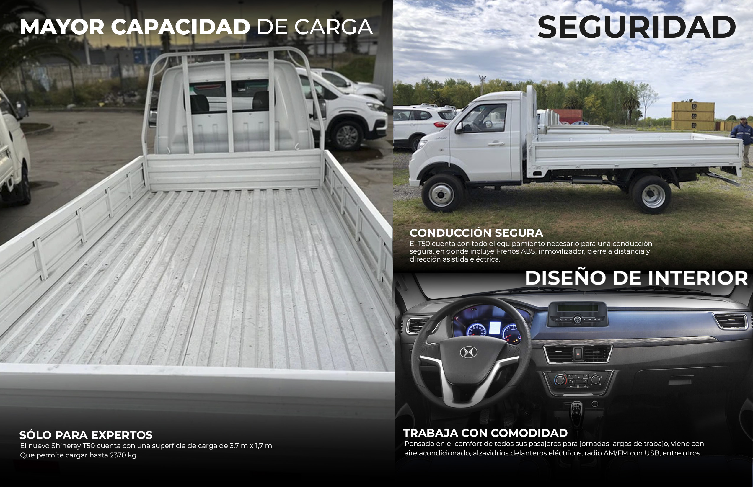 Detalle del vehículo