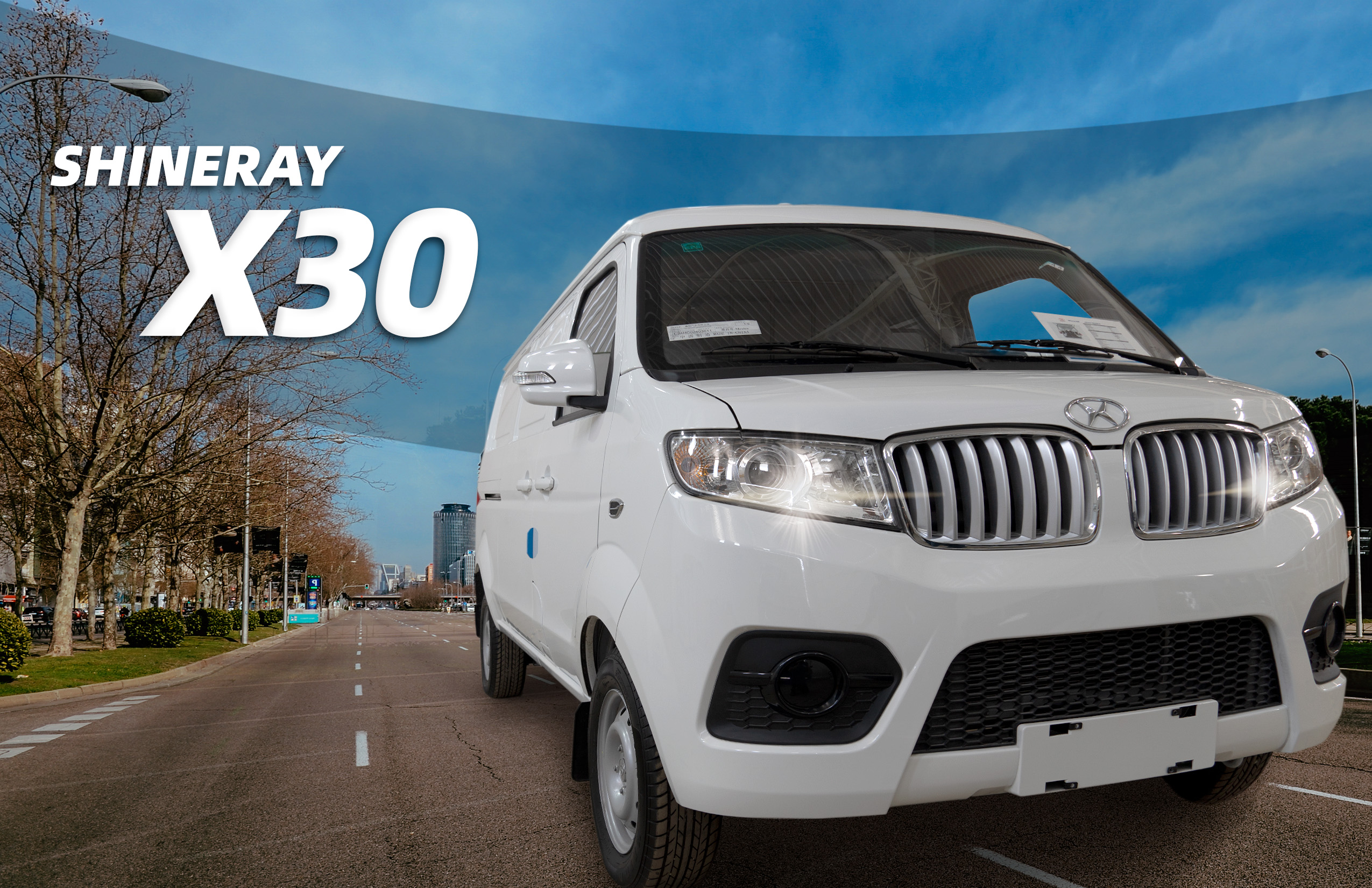 Detalle del vehículo