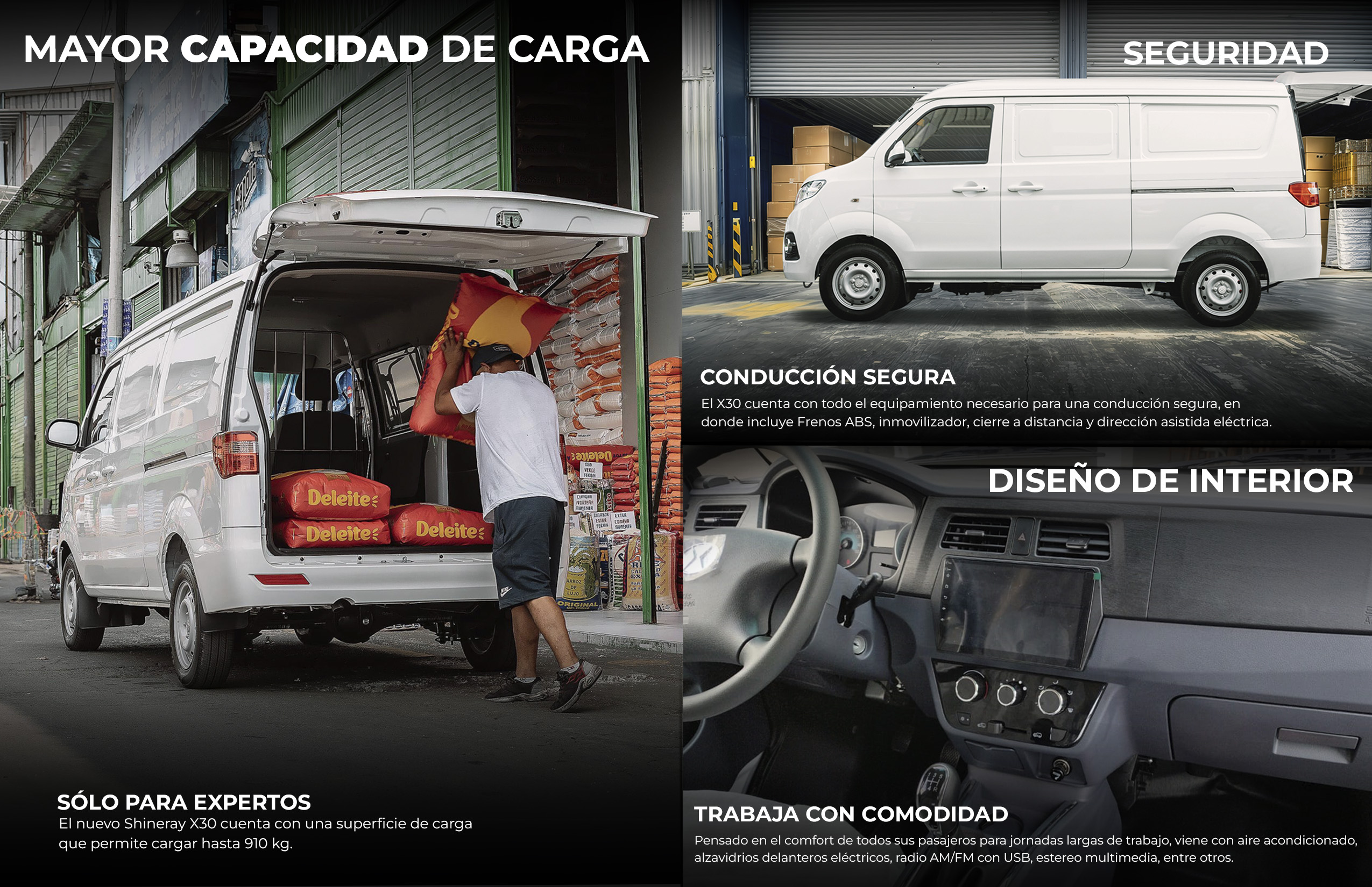 Detalle del vehículo